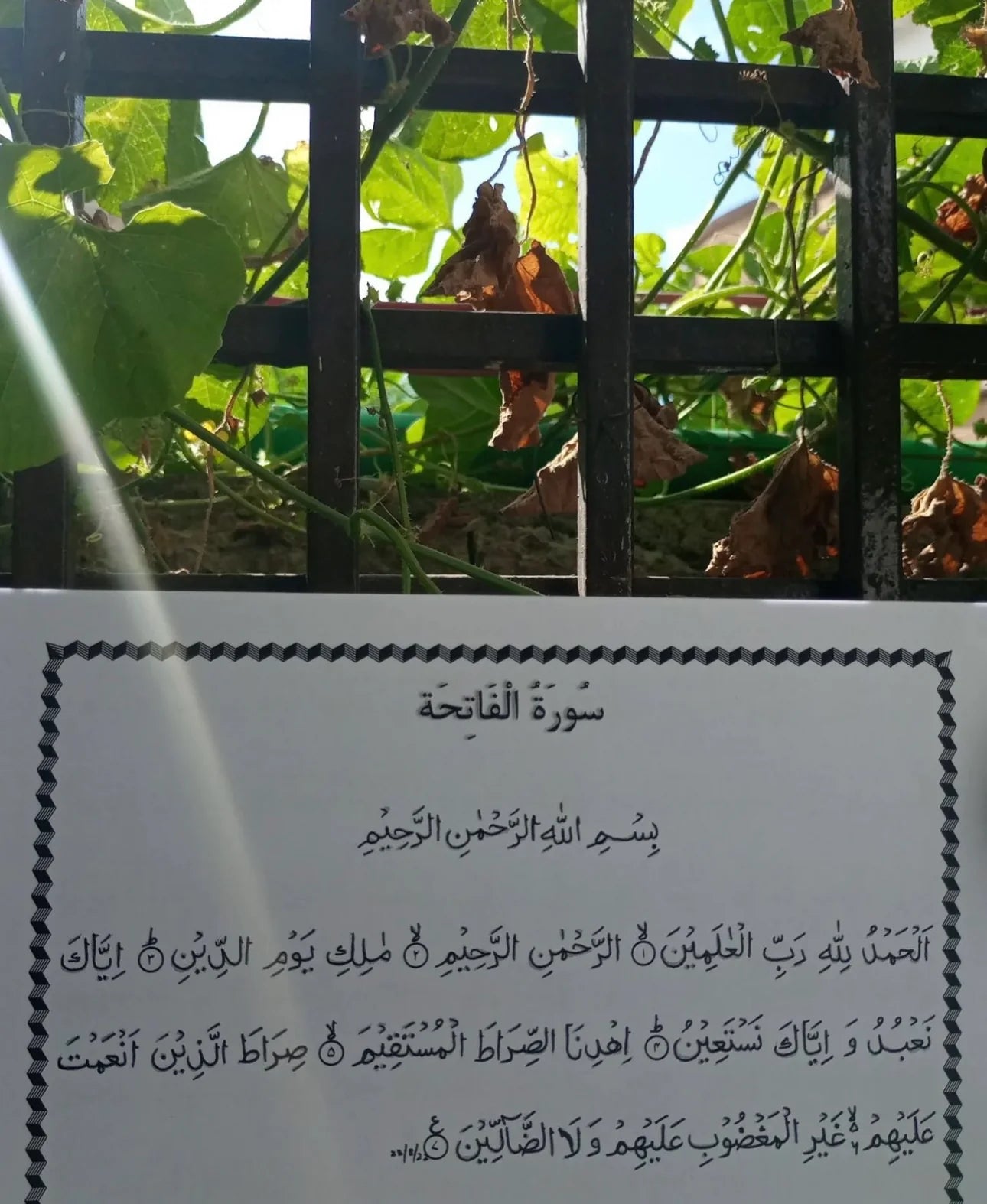 Tracing Quran Workbook 23 Surahs Without Translation